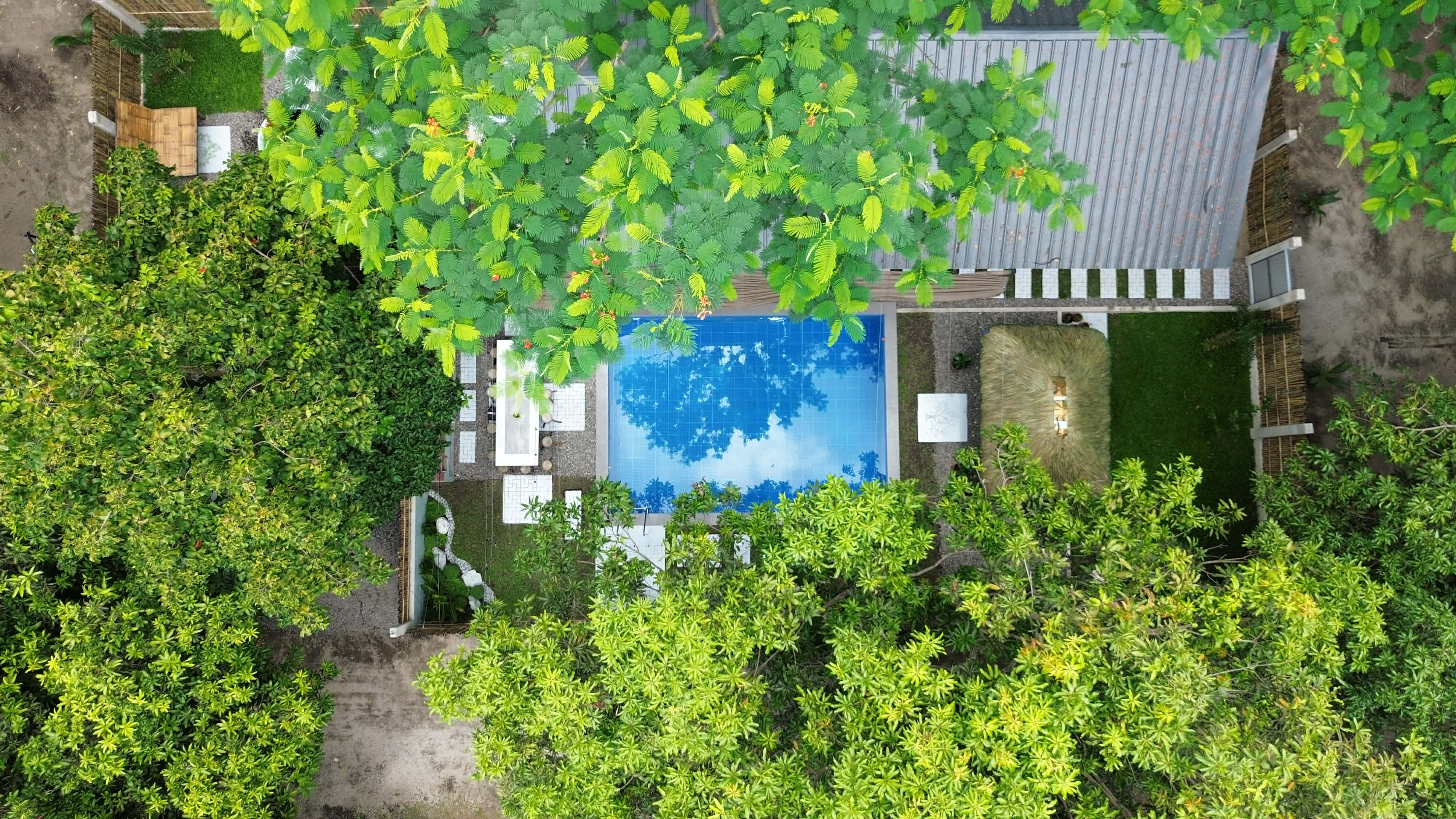 Ariel Shot
